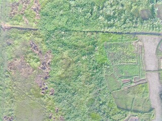 aerial view of land mapping by unmaned aerial vehicle in Bogor, Indonesia.