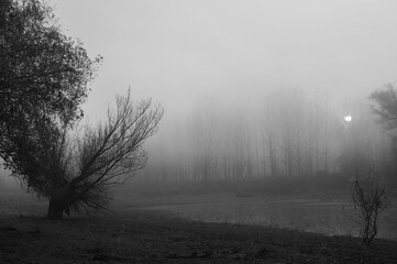 Creepy dark landscape showing river and forest in autumn mist in black and white