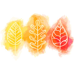 Autumn Watercolor Leaf. Illustration of Hand Drawn Plant.