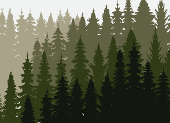 Fototapeta premium silhouette forest, nature spruce design