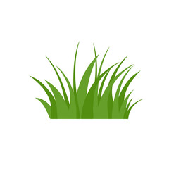 Green Grass Isolated on White Background,flowers