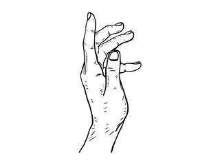 Hand drawn human hand illustration can be use for social media banner background clip art marketing