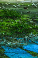 Nature growing from an old abandoned factory, plants rising from metal, stone, sand, mother nature