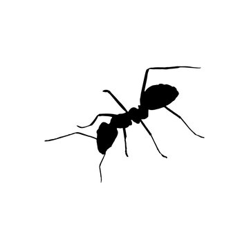 Ant icon. Simple style anti-anticide big sale poster background symbol. Ant brand logo design element. Ant t-shirt printing. Vector for sticker.