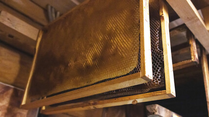Bee frames with sealed combs and honey hang in the shed. Breeding bees, beekeeping, honey...
