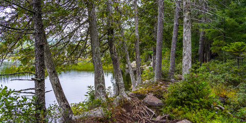 Lake surrounded by forest in New England, Maine, USA