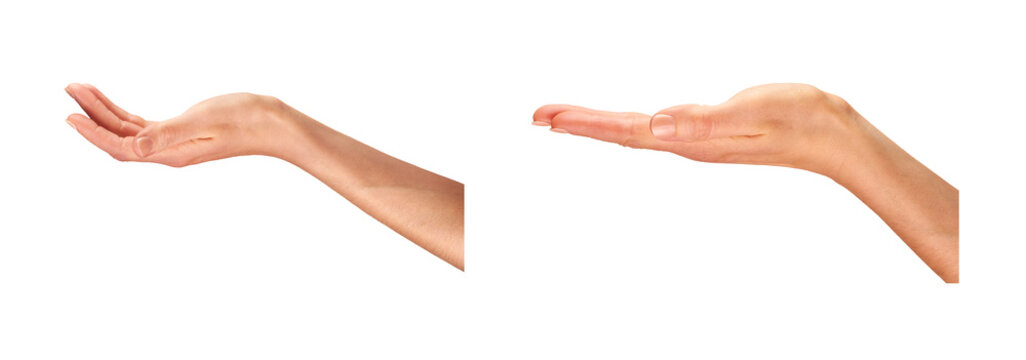 Female, women's hands, palms facing up as if holding something isolated against a transparent background.