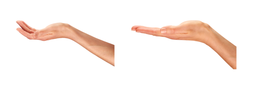Female, women's hands, palms facing up as if holding something isolated against a transparent background.