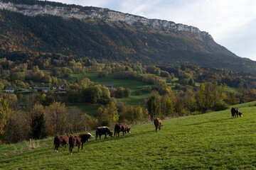 Fototapeta na wymiar Paysage des montagnes du département de la Savoie dans le Parc Régional des Bauges à l'automne en France autour du village de Le Noyer