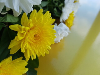 bouquet of chrysanthemum