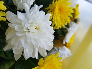 bouquet of chrysanthemum