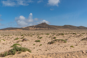 mounatin view in canarias