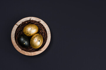 Eggs painted gold and black on dark background. Overhead of nest containing three egg. Minimal...