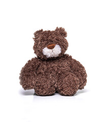 Teddy bear isolated on a white background.