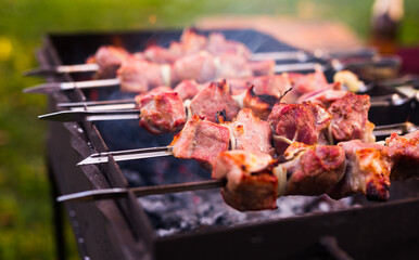 shish kebab on the grill