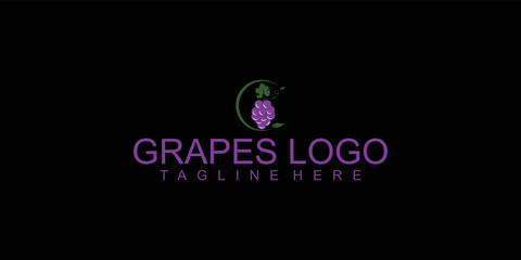 Simple grapes logo design with minimalis concept premium vector