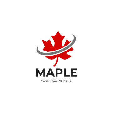 Maple leaves logo isolated on white background