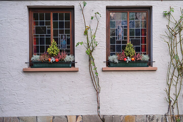 Fototapeta na wymiar Two windows with wintry floral decorations in a white wall