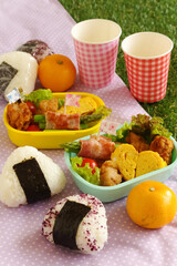 遠足・行楽の手作りお弁当