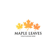 Fototapeta na wymiar Maple leaves logo isolated on white background