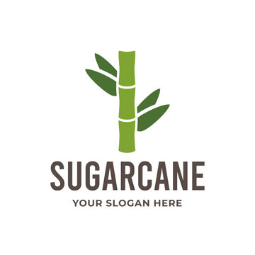 Sugarcane natural organic sugar product farm isolated icon sweetener production factory and export business plantation growing agriculture food additive or condiment cultivation emblem or logo