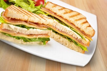 Tasty fresh toste sandwich with vegetables