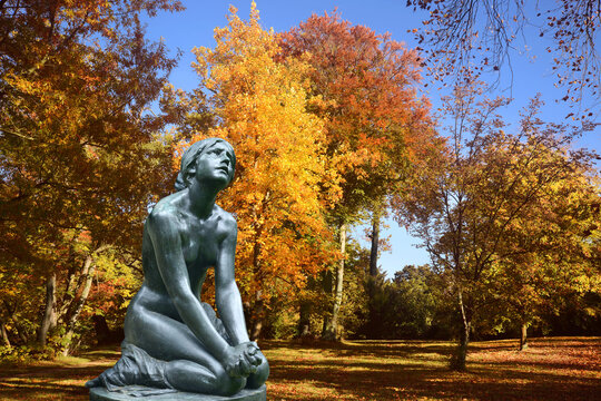 Friedhof 79