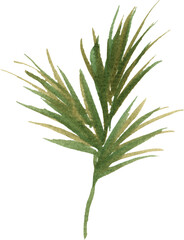 Palm leaf in Watercolor. Decoration element for your design.