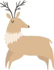 Png illustration of a cute cartoon hand drawn deer isolated on a transparent background. Cute cartoon animals. Christmas winter reindeer