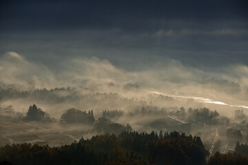 冬の朝霧