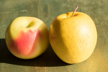 Yellow apples closeup indoor lit by sunlight on green wooden surface