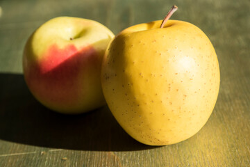 Yellow apples closeup indoor lit by sunlight on green wooden surface