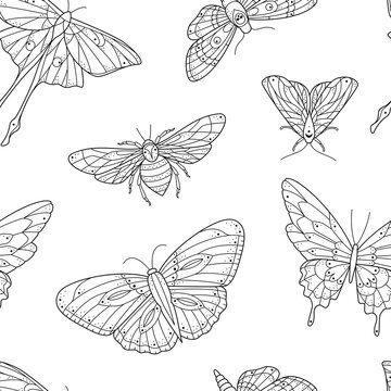 Black line art stylized butterfly seamless pattern. Nature wildlife repeat design.