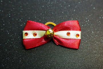 burgundy with a gold stripe with red.  stoned bow for dogs with long hair lies on a black shiny...