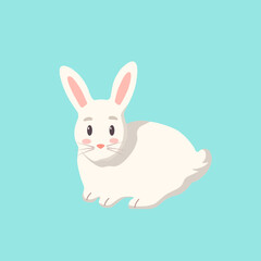 cute rabbit with blue background
