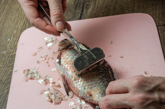 The Cook Peel The Husk From Crucian Fish On A Cutting Board	
