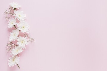 Obraz na płótnie Canvas pink flowers on a white background