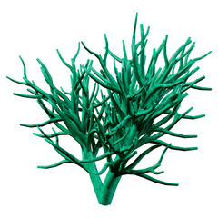 3D Rendering Coral on White © photosvac