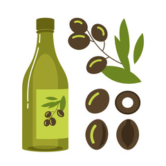 Olives and bottle of cooking oils vector illustrations set. Collection of cartoon drawings of olive oil elements isolated on white background. Culinary, cooking, recipe, food concept