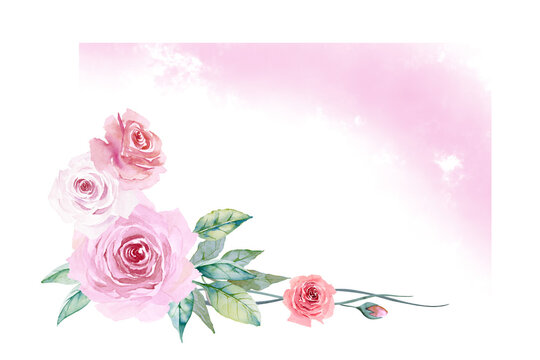 Corner floral frame of creamy white, red and pink roses with leaves and lilac fog isolated on white background. Hand drawn watercolor. Copy space.