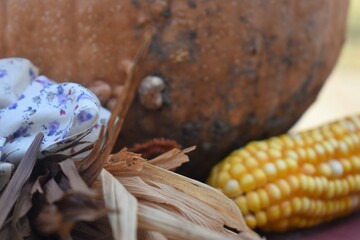 Pumpkin and Corn Decoration