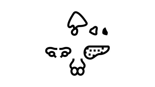 gland human organ line icon animation