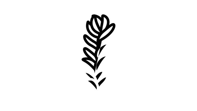 rotala rotundifolia seaweed line icon animation