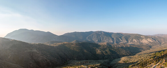 Mountain forest landscape panorama aerial drone view. Olive grove, blue sky.
