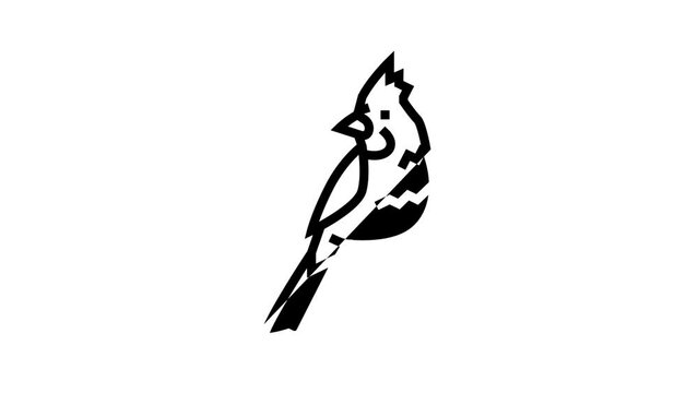 northern cardinal bird exotic line icon animation