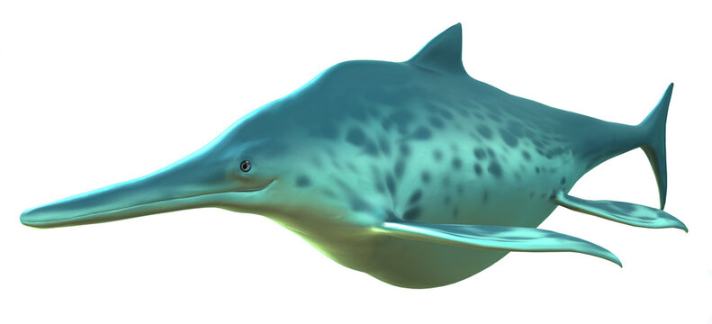 Shonisaurus (late Triassic)