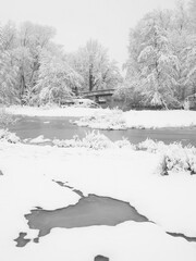 River wetlands with snow cover along the Pegnitz river, Nuremberg, Germany - 550050812