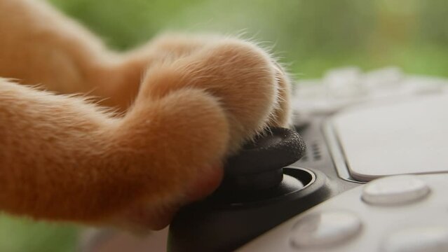 A two cute fluffy ginger cat paws playing video game using joystick gamepad. Close-up gamer using gamepad against green background. Fun humorous gaming with console for red kitty. Cybersport.