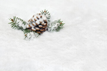 Obraz na płótnie Canvas Christmas decoration. Cone pine, branches christmas tree on snow with space for text