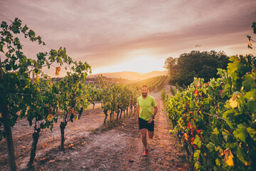 Man running in the vineyards of Langhe